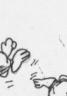 bloomCounty_cliff1x5.jpg